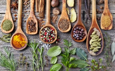 AYURVEDA: L’ARTE DI VIVERE IN SALUTE. Seconda parte